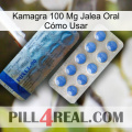 Kamagra 100 Mg Jalea Oral Cómo Usar 40